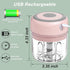 Electric Garlic Chopper, 250ML Food Chopper USB, Mini Vegetable Chopper, Garlic Mincer, Onion Chopper, Portable Small Food Processor for Garlic, G...