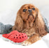 Dog Chew Toy,Durable Rubber Slipper Toy for Puppy,Dog Tough Toys for Pet Training and Cleaning Teeth,Interactive Puppy Toys Aggressive Chewers Sma...