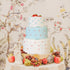 Wedding Cake Stencil Template, Kissbuty 5 Pcs Cake Decorating Embossing Plastic Spray Floral Cake Cookie Fondant Side Baking Mesh Stencil Mat Wedd...