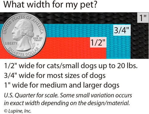 Lupine Large Dog Collar 3/4" wide Petunias design Adjusts from 15" to 25"...