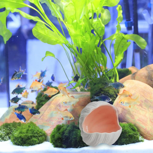 AnRui Cute Aquarium Decorations Ceramic Conch Shell-Shaped House Thematic Betta Fish Tank Accessory Decor Ornament Hideout Cave for Fish Playing o...