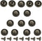 Mingchen 100 Pieces Retro Cute Skull Decorative Rivet Buttons Metal Castings Conchos Button Personality DIY Luggage Leather Goods Sewing Accessori...