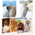 1Pcs Pet Stainless Steel Grooming Comb For Long Short Hair PetP Brush Hair Knots Tangles...