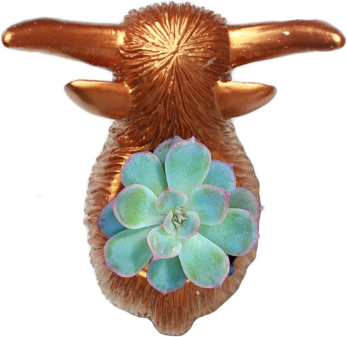 Highland Cow Decor Planter Cow Flower Pot Planters Cow Planters for Outdoor Plants Succulent Resin Planter...