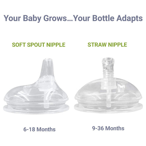 Anpei Straw and Sippy Cup Transitional Nipples Set of 2 with Nipple Storage Case Compatible with Comotomo Baby Bottles, 5 oz and 8 oz...