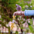 Garden Water Pipe Quick Connect, No-Leak 3/4 Inch GHT Thread Fitting Water Hose Female Adapter, Heavy-Duty Rust Resistant Brass Water Pipe Connect...