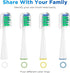 Replacement Brush Heads for 2023 Waterpik Sensonic Toothbrush, with Covers, Compact, White, 4 Count...