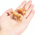 ONEST 13 Pieces Mini Dog Figurines Playset Hand Painted Tiny Dogs Realistic Detailed Plastic Puppy Figures Toys for Kids Adults...