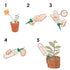 6 Pcs Plant Waterer Automatic Adjustable Plant Watering Spikes Self Water Drip Irrigation System with Control Valve Switch for Garden Home Indoor ...