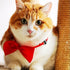 Orange Dog Bow Ties with Adjustable Collar Pet Neckties Cat Bow Tie Dog Bowtie Collar Dog Bows Grooming Solid Puppy Neckties Cat Collars Basic Dog...