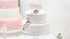 8" inch Round Cake Pan Set of 2...
