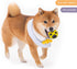 Dog Ball Toy, Jingle Bell Inside for Gift, Rubber Squeaky Toy, Interactive Smart Ball with Holes, Ideal for Puppies, Small, Medium and Blind Dogs,...