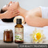 Eucalyptus Essential Oil 1.7 Fl Oz - Eucalyptus Globulus - 100% Pure Eucalyptus EO for Freshen Rooms - Home Fragrances - Aromatherapy - Diffuser -...