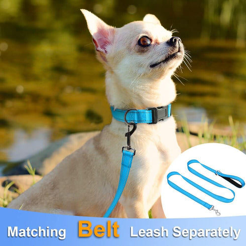 Taglory Reflective Adjustable Dog Collars for Puppy Small Medium Large Dogs, Thin Nylon Webbing and Quick Release Plastic Buckle(Aqua Blue,XSmall)...