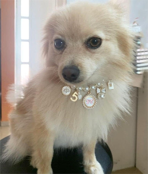 Dog Pearl Collars Princess Bow Necklace Pet Pearl Necklace DogCute Collar Puppy Accessories Cat Jewelry Pearl Neck Strap for Dog Cat (M)...