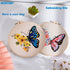 GLTAYLMY 3 Pack Embroidery Kits with Butterfly Pattern for Beginner Adults,Cross Stitch Kits with 1 Plastic Embroidery Hoops,Needles and Color Thr...