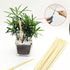 Worown 60 Pcs 15.7 Inch Strong Natural Bamboo Sticks, Wood Craft Sticks, Extra Long Sticks, 9.5 mm Width Wood Strips for Craft Projects...