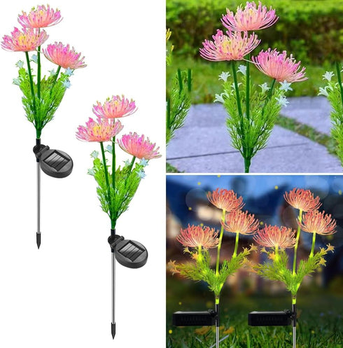 2 Packs of LED Solar Flower Decorative Lights, 2-Mode Outdoor Courtyard Atmosphere Lights and Garden Landscape Lights, Wireless Waterproof from Du...