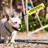 JXGZSO Nervous Rescue Ask to Pet Dog Leash Wrap Rescue Dogs Anxious Dogs Leash Sleeve Cover (N ASK to PET DLS)...