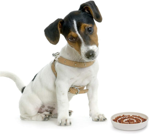 SLSON Cat Slow Feeder Bowl,Ceramic Slow Feed Cat Bowls Heavy and Shallow Wisker Stress-free Pets Dish for Kittens Small Pets Wet Food,White...