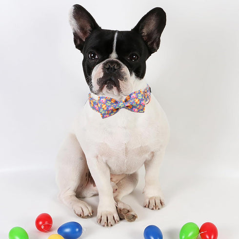 ARING PET Easter Dog Collar-Cute Easter Eggs Dog Collar with Bow, Adjustable Cotton Purple Easter Pet Collar Puppy Collars with Metal Buckle...