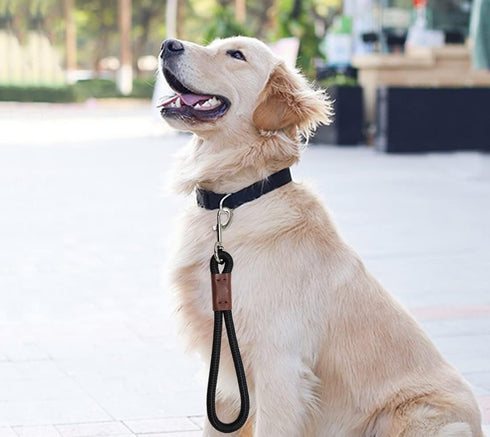 Short Dog Leash, 12 Inch Rope Traffic Handle Leash, 1/2" Strong Nylon Dog Tab Training Leash for Medium/Large/Ex-Large Dogs Outdoor Walking Black...