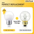 1W Light Bulbs Equivalent 15 Watt 150LM Light Bulb Standard E26 Base Small Light Bulb for Light Strip, Vanity Mirror, Frosted, Daylight White 6000...