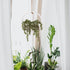 Floweroyal Artificial Succulents Hanging Plants 12.2'' Fake String of Pearls in Pot with 8.3'' Lanyard for Indoor Outdoor Wall Decor....