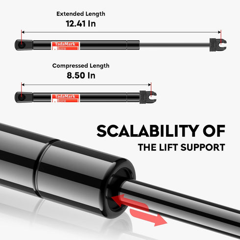 Front Hood Lift Supports Shock Struts Compatible with Charger 2006-2010, Magnum 2005-2008, Chrysler 300 2005-2010, Challenger 2008-2012, 6303, 2 P...