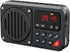 PRUNUS 405 Rechargeable FM Radio • Bluetooth Speaker • TF Card and USB • 1500mah battery • Earphone Jack • Auto power on/off • Clock• Recording(No...