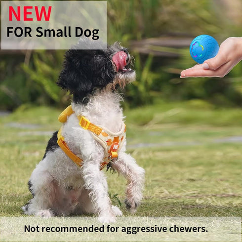 Smart Interactive Dog Toys Ball, Auto Moving Bouncing Rotating Ball with 2 Modes, USB Rechargeable, 56mm in Diameter for Small Dog, Fun Gift for B...
