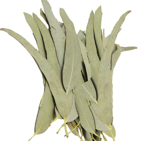 Whole Eucalyptus Leaves, Natural Eucalyptus Herb Leaves, 114g (4.0 oz)...