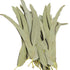 Whole Eucalyptus Leaves, Natural Eucalyptus Herb Leaves, 114g (4.0 oz)...