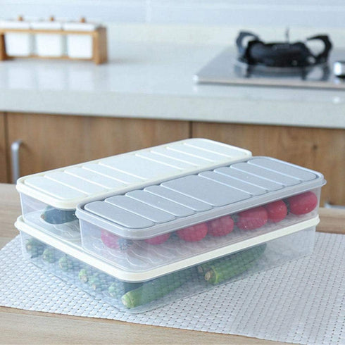 Food Storage Bin Vegetable Organizer with Lid Clear Fridge Crisper Keep Food Fresh BPA Free Kitchen Organizer Bins (Grey-L-SIZE with MAT)...