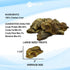 Max and Neo Freeze Dried Chicken Liver Dog Treats - Single Ingredient, Pasture Raised, Antibiotic Free, Human Grade Chicken Grown in The USA - We ...