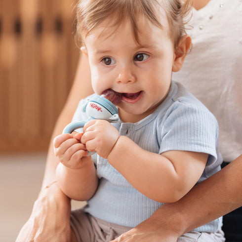 Nuby Twist N' Feed Infant First Foods Feeder with Hygienic Cover: 10M+, Colors May Vary, Multi...