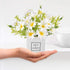AIFUSI Artificial Flowers, Faux Flowers in Vase Small White Daisy Decor Mini Silky Artificial Daisies Fake Plant Flower Decor for Home Decor Indoo...