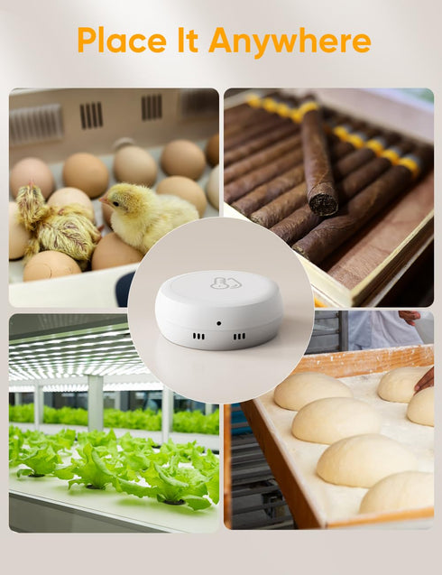 Maxcio Temperature Humidity Sensor, Smart Thermometer with App Notification, Wireless Hygrometer Monitor for Home, Free Data Storage, Requires Max...