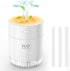 Portable Mini Humidifier For Plants Indoor 500ml Small Cool Mist Humidifier Usb Rechargeable Mini Humidifier For Desk Travel Office Home Nursery A...