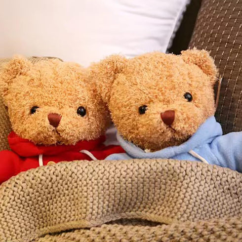 Teddy Bear Stuffed Animal, Soft Cuddly Teddy Bear Plush Toy, Birthday Christmas Valentine’s Day Gift for Kids Girlfriend (Red-B,11.8inch)...