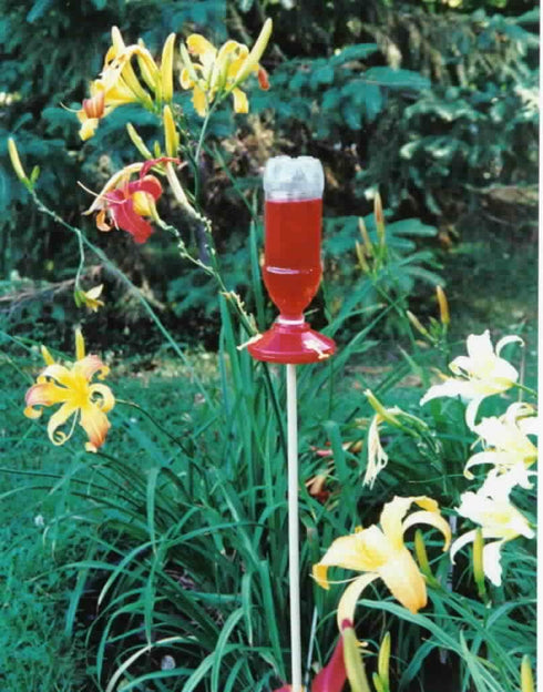 Gadjit Soda Bottle Hanging Hummingbird Feeder Kit |Fun Inexpensive Project for Kids at Home | Fill Feeder with Nectar or Sugar Water, Hang Outdoor...