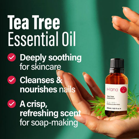 H'ana Tea Tree Essential Oil - 100% Pure and Natural Tea Tree Oil for Skin, Hair, Face, Toenails, and Aromatherapy - With a Distinct, Medicinal (1...
