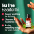 H'ana Tea Tree Essential Oil - 100% Pure and Natural Tea Tree Oil for Skin, Hair, Face, Toenails, and Aromatherapy - With a Distinct, Medicinal (1...