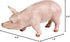 Safari Ltd. Boar Figurine - Realistic, Lifelike 4.25" Model Figure - Fun and Educational Toy for Boys, Girls & Kids Ages 3+...