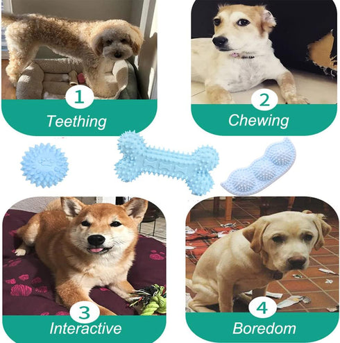 LHYILSWQ 10 Pack Puppy Dog Chew Toys Durable Rope Toys Bean Bone for Small Dog Teething Interactive Training Toys...