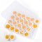 HANSGO Deviled Egg Containers with Lid, Deviled Egg Tray Holder Carrier with Lid for 24 Eggs for Home Party Kitchen Supplies Refrigerator Storage...