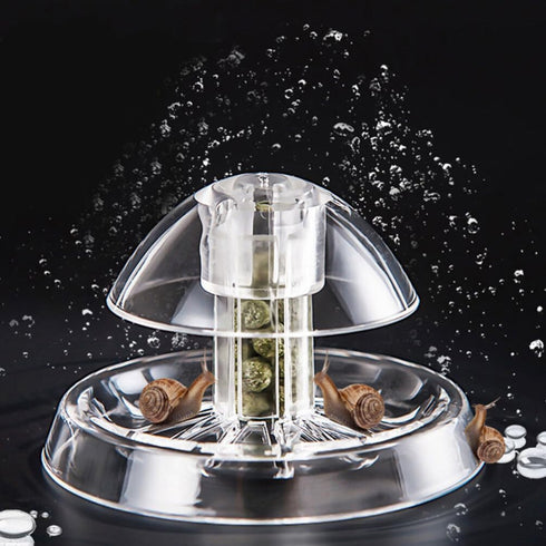 POPETPOP Transparent Snail Catcher Aquarium Snail Traps 2pcs Plastic Fish Tank Snail Catcher Box Transparent Snail Catching Device Leech Planarian...