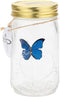 Butterfly in a Jar, Glass Animated Butterfly In A Jar With LED Light Gift Decoration (Blue)...