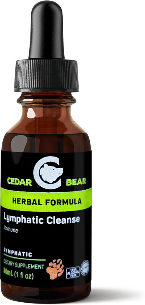 Cedar Bear - Lymphatic Cleanse Immune Support Supplement, Alcohol-Free Lymphatic Drainage Drops with Immune-Enhancing Natural Herbs, Liquid Herbal...