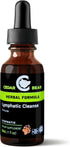 Cedar Bear - Lymphatic Cleanse Immune Support Supplement, Alcohol-Free Lymphatic Drainage Drops with Immune-Enhancing Natural Herbs, Liquid Herbal...